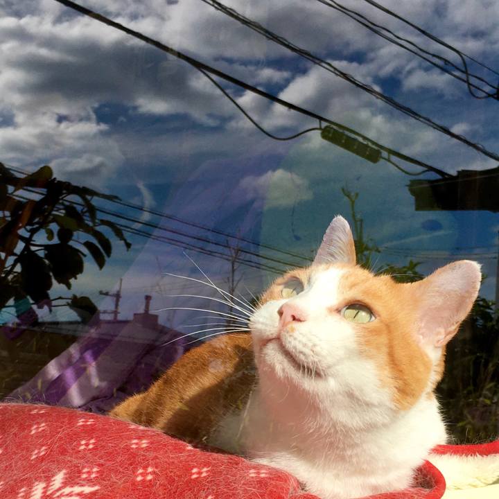 897a6dea bb6c 46a6 93d1 34f17676ec2f 1571295914291