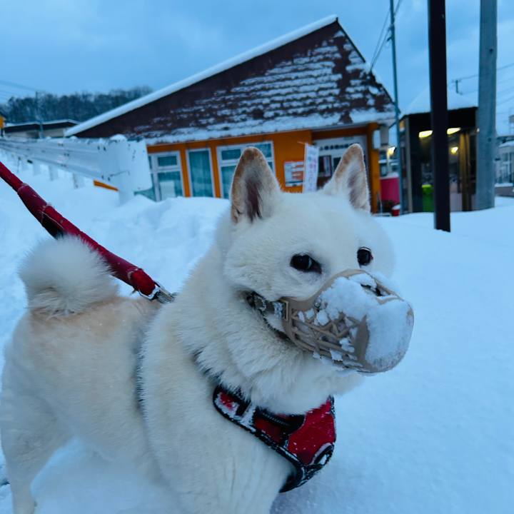 897a76a7 3c29 4168 be26 2e644f166281 1767420644442