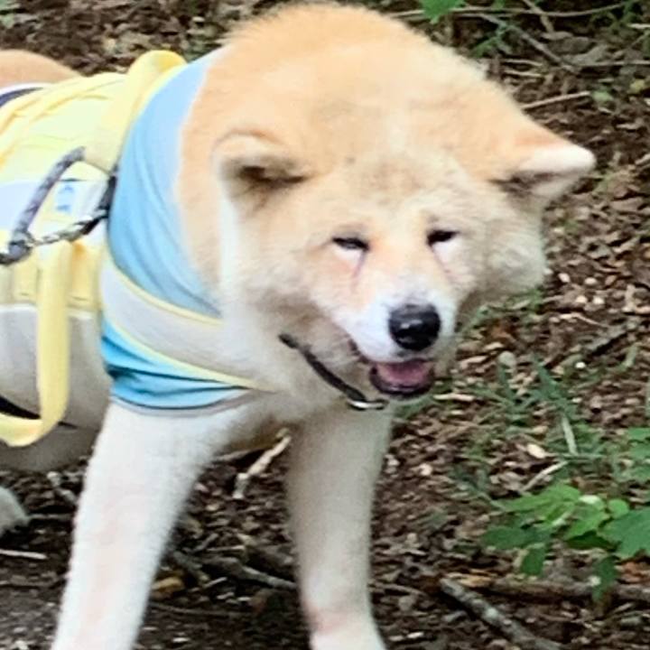 897a81e2 302f 4029 935f ba3d7770d6ae 1662869929541