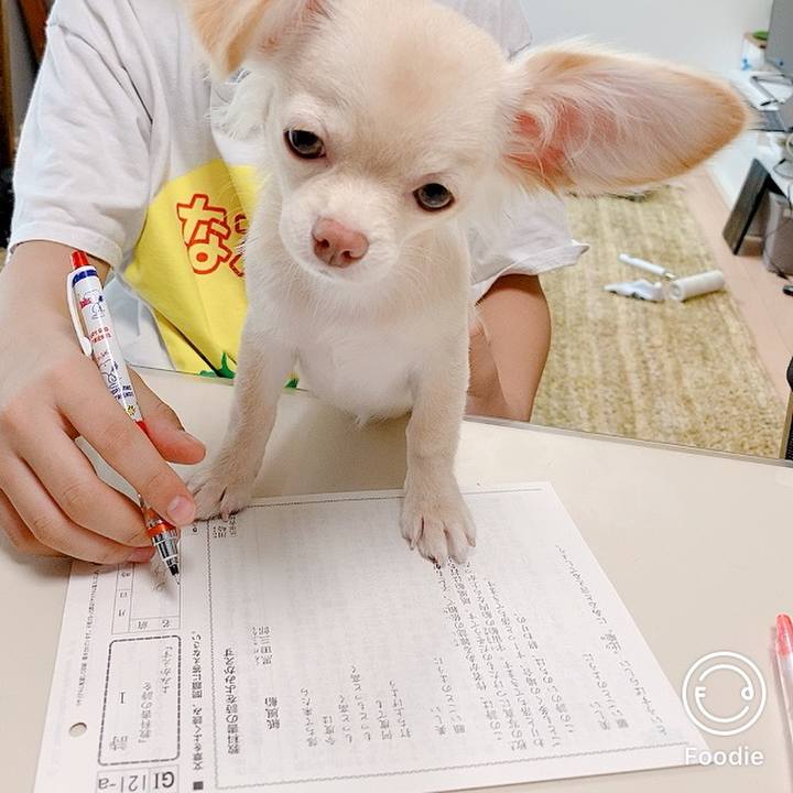 897abac3 52c4 470e 949e 9a08130ddc6e 1595560069538