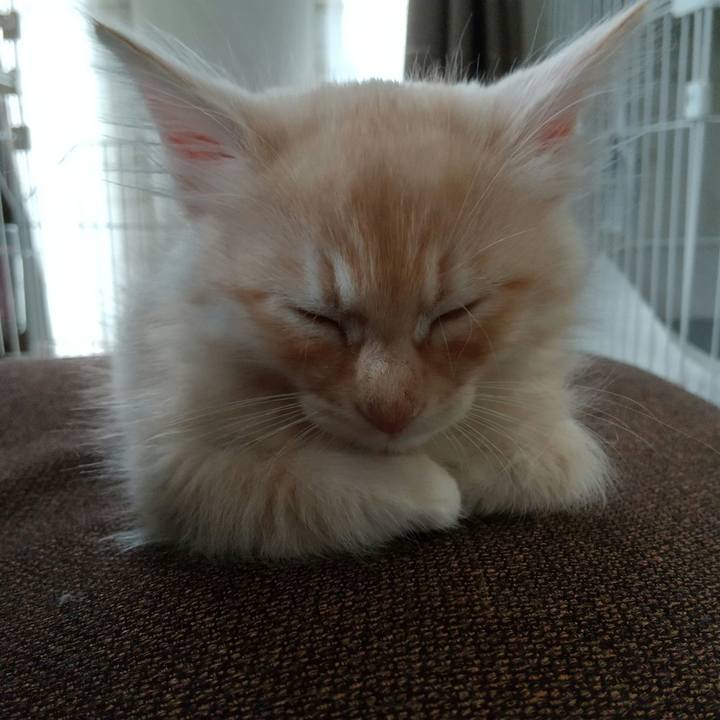 897ac87c 5001 4a3c b05f 599467544552 1603153098966