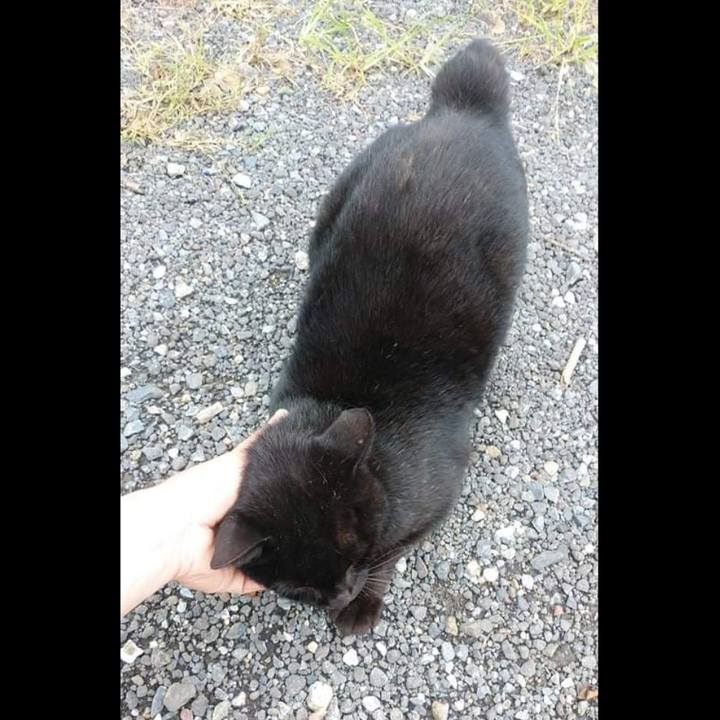 897accee f484 4524 b792 1ae6bbd1a632 1630887703127