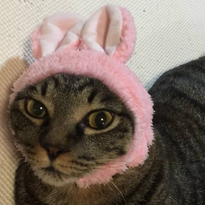 897ae1cd 1e65 4a6f bd27 3409ee89ecba 1620270364790