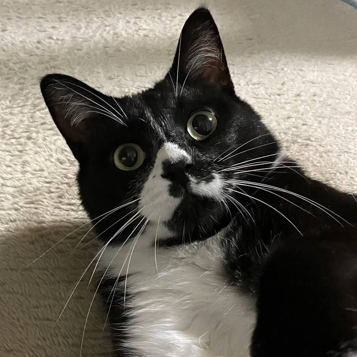 897b063d 81cb 4682 9260 8b06299085a4 1695268323290