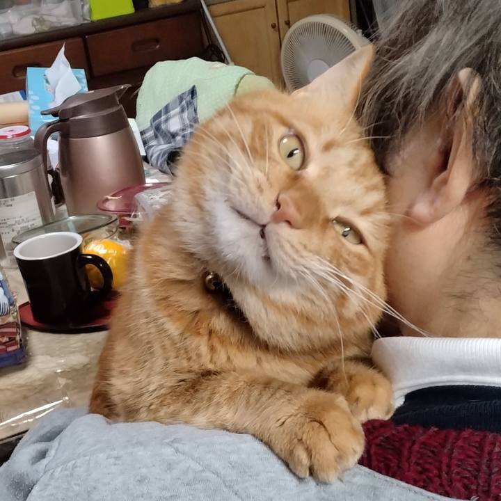 897b35bb 732e 4bd8 8692 7e4d7c52133a 1765780751823