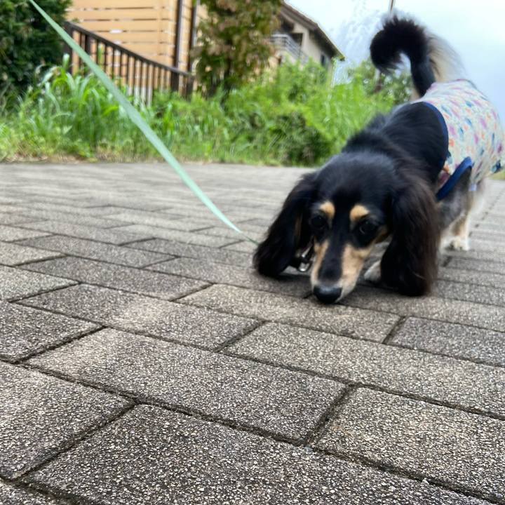 897b7308 bf5c 4cfd 996f d4bf07eac640 1726539061122