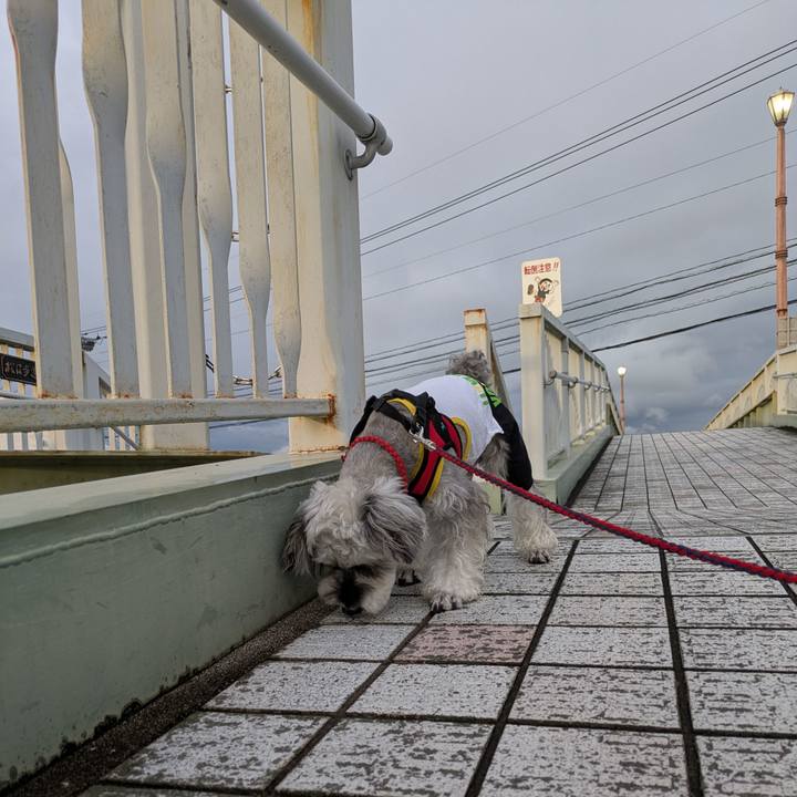 897bb73f d8a2 48ed bb80 d88b04f540f3 1756992730850