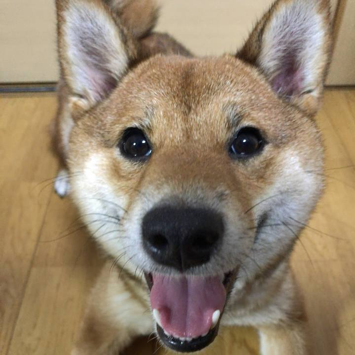 897bc400 5f8c 4a97 9946 64aa1954056b 1523013788993