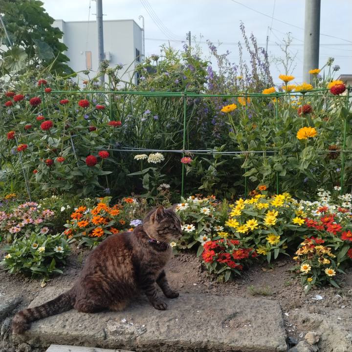 897bda5d 8bd5 4b12 bd01 caa9be983769 1752099695990