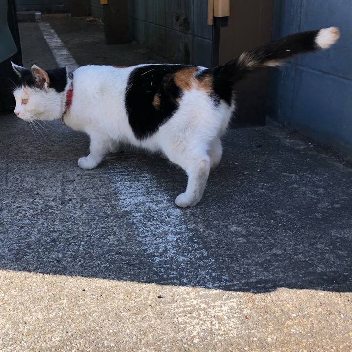 897bf19c de86 4791 8f8c 25087390cbf0 1606882554786