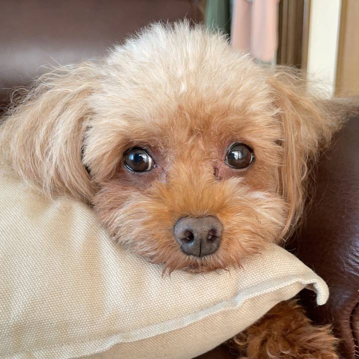 897c0120 55ca 4b96 b31f 6bda7805bbdf 1729387779990