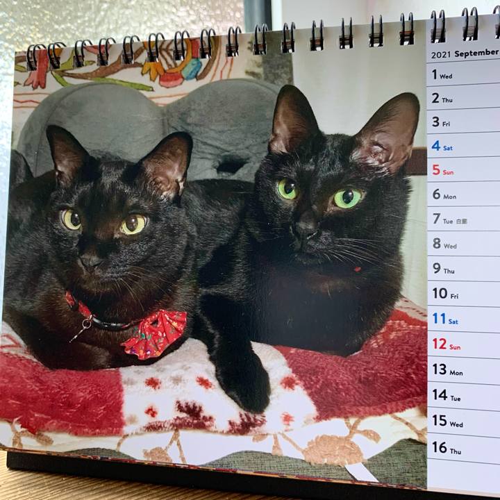 897c286f 0217 445f a219 3c410bfda2be 1630459911610