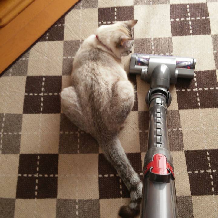 897c2eec 941f 4cce aaaa 4970fab4da7f 1519695786754