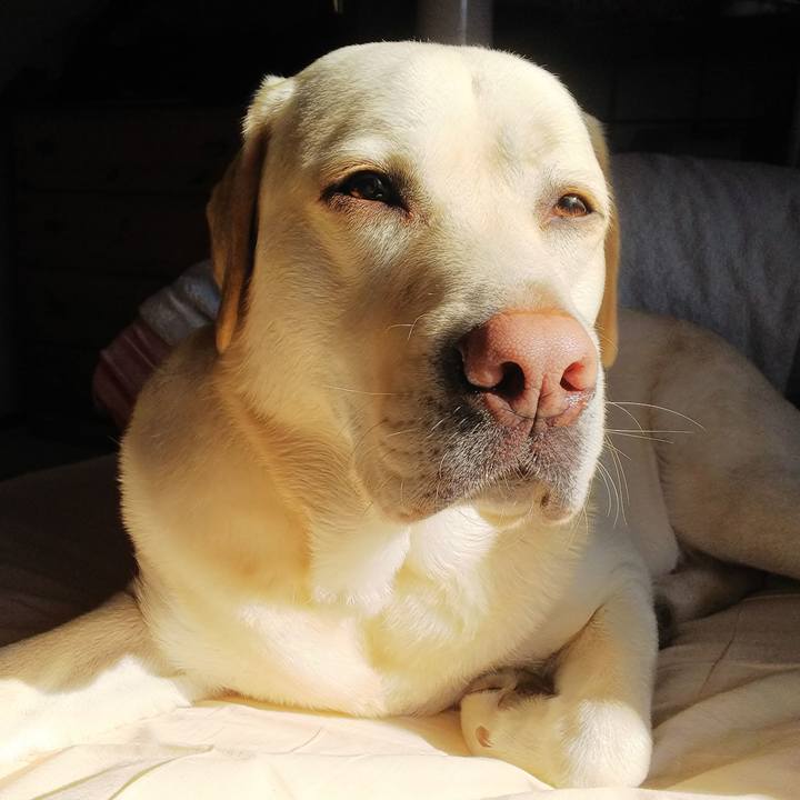 897c4884 6b97 44ee 893f 6239cb6fe4fc 1547603213047