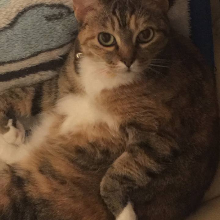 897c5ec2 94bf 4275 ab42 bddcd664f98f 1552133486549