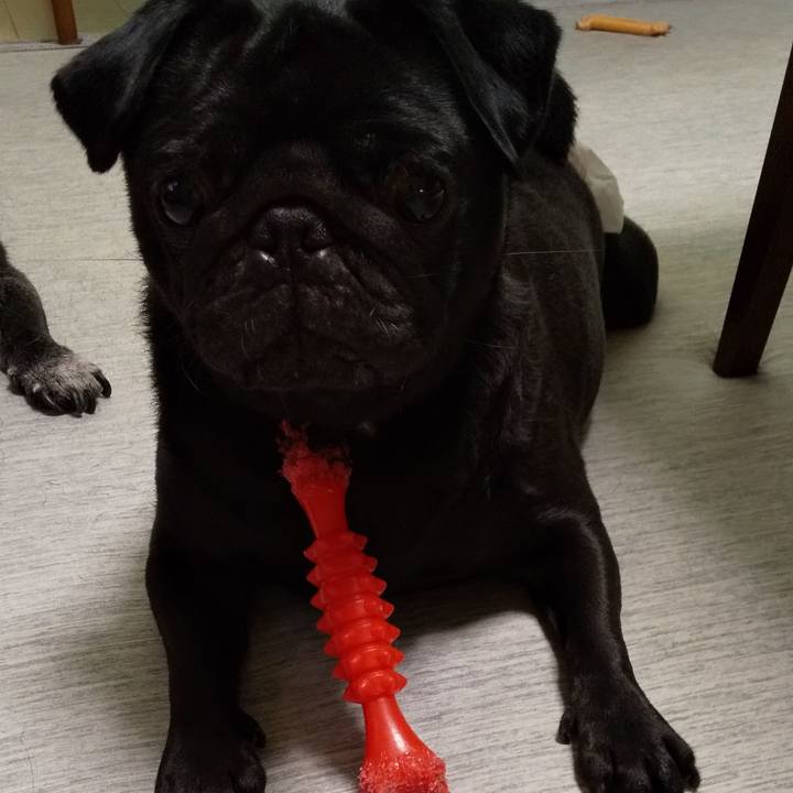 897c89a7 5447 4213 bdb2 8cc09e4428a3 1564822963749