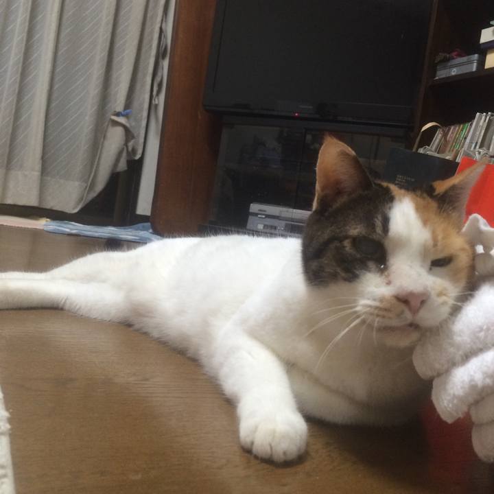 897c8f87 5999 4f76 84a9 6ea856c2fb5b 1537021486657