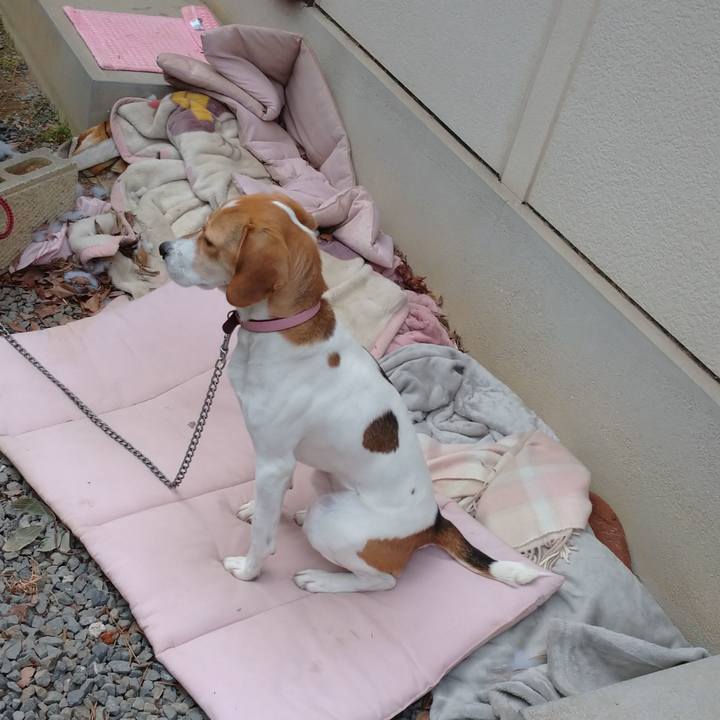 897c9b45 40be 42a1 a876 d9483a8e15ba 1579153294444