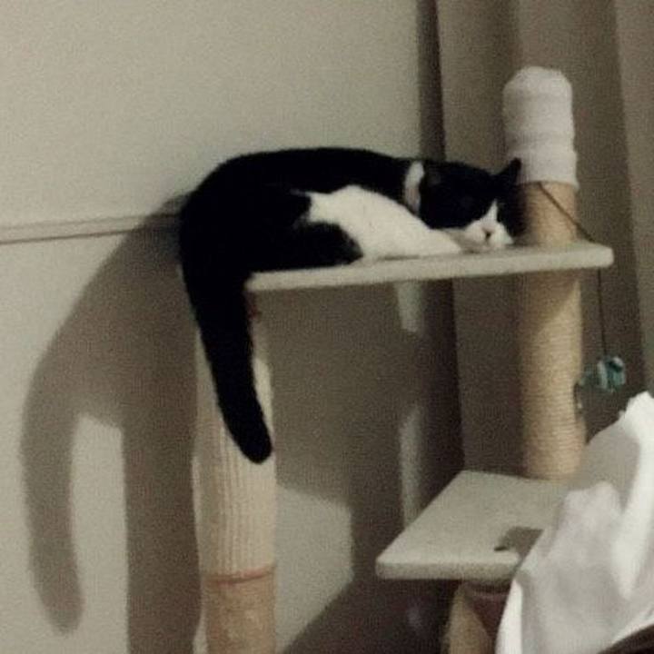 897cf55a 846f 44c7 8dca 697b0bd8ef6b 1583699605556