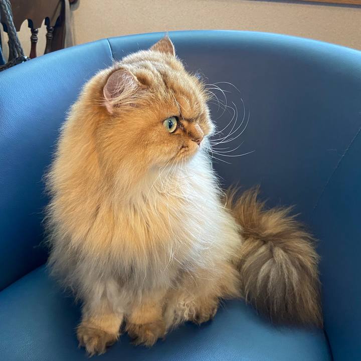 897d39fe 7d2a 46a1 9e47 8b0d070e357f 1626222083304