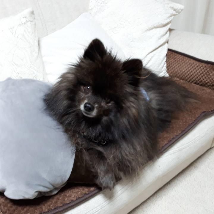 897d3f84 d09c 4952 9475 e1bb35e03ef9 1517851049400