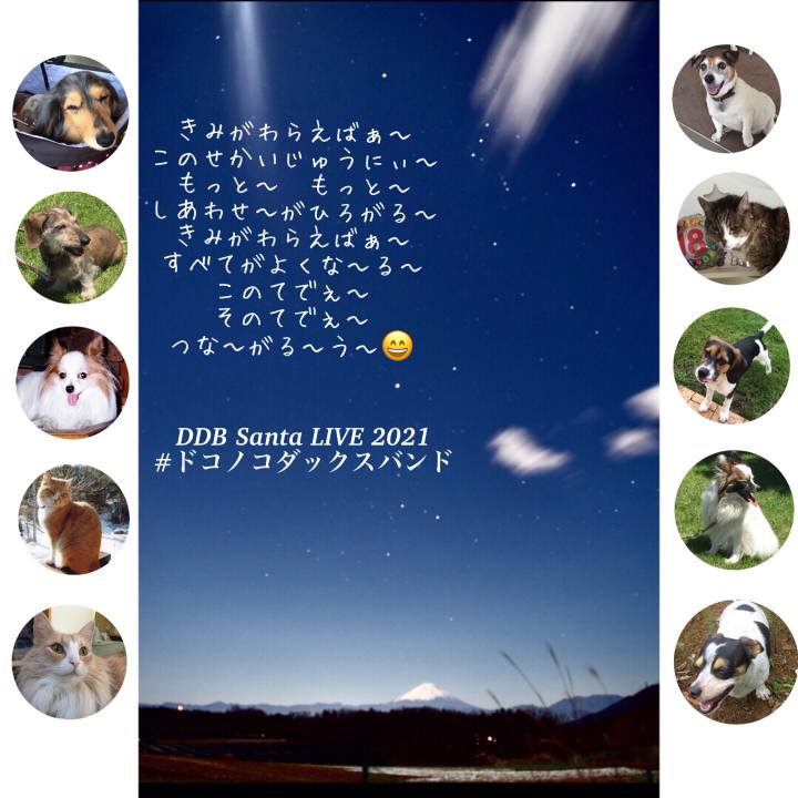 897d3fbc 87c0 4a62 a8df 9f0fd9ebd094 1639924512965