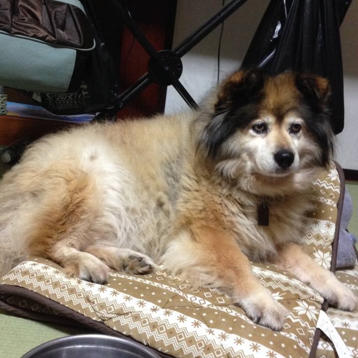 897d4710 7bcd 43b2 a262 da801e85c416 1608166084899