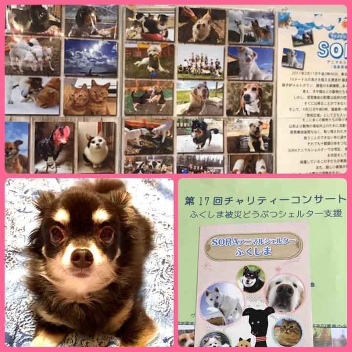 897d5477 3d66 4928 84ba 3a6226629169 1601729318667