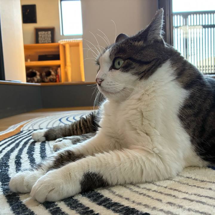 897d8e22 bc95 4c4c 8924 f83aaaa0a17e 1757285821496