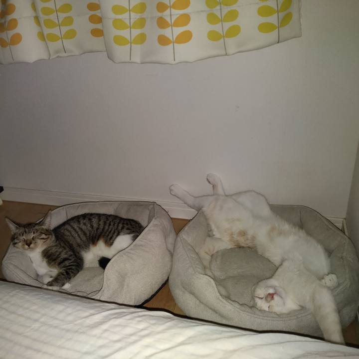 897db13d 7a92 49b2 b84b cdacab3963a1 1633468306945