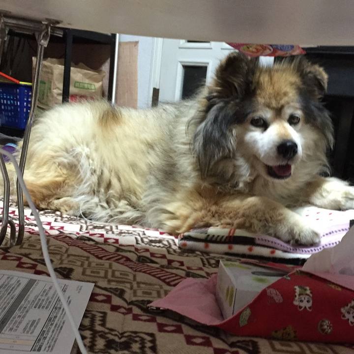 897dd2ef 77ed 452f 9906 06363279e145 1565066959332