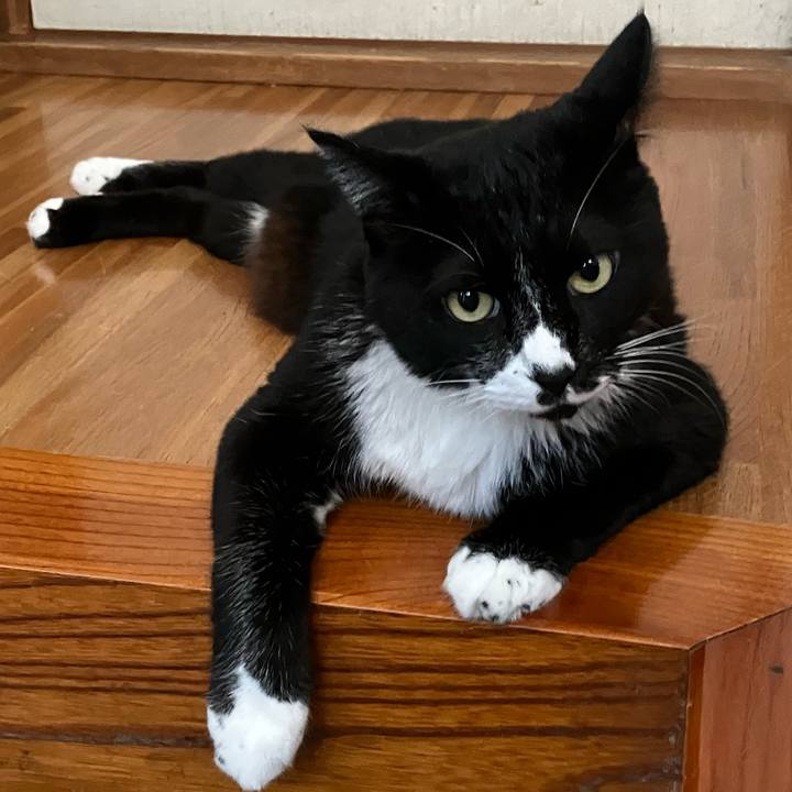 897e1bb6 caea 4782 b974 8724cf000e91 1761880553005