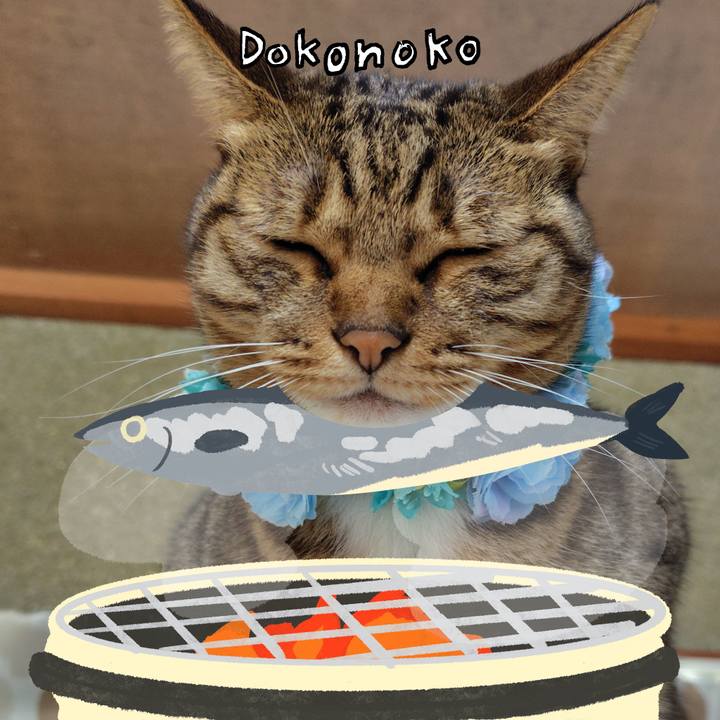 897e4172 1b24 47aa a0eb 968751fbbbea 1762044270946