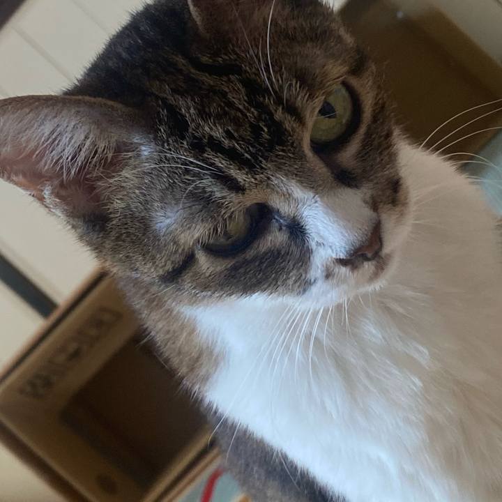 897e885d c9c9 464c b943 c95007169f4d 1722664085373