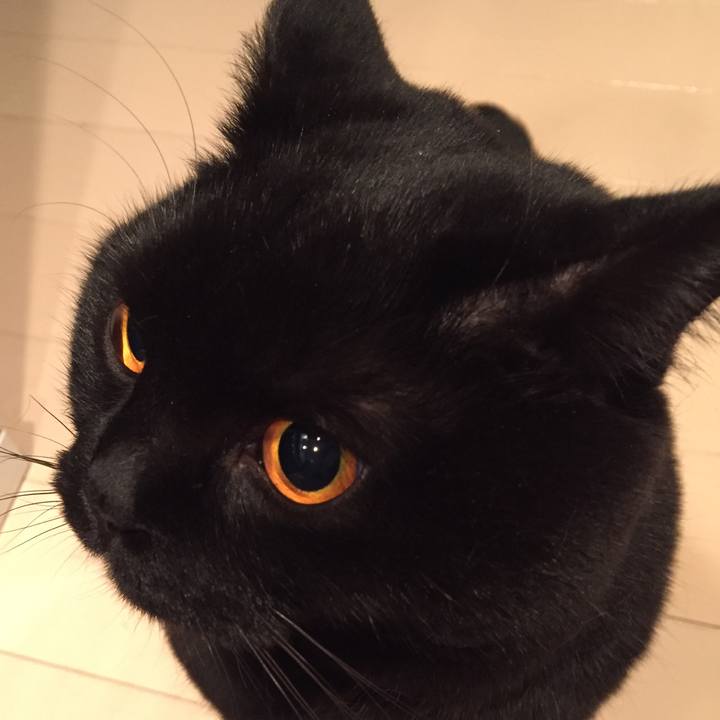 897e9e4c 30bf 44bc 834c 64d6d9ce608a 1519470529264