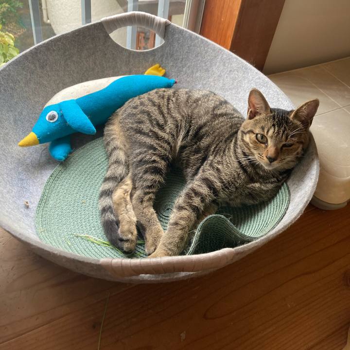 897ea5cc 924f 442c bb29 0392be6d9787 1666094710968