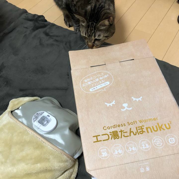 897ebf99 013d 4aa7 986d 55b96f75c5fa 1577306283319