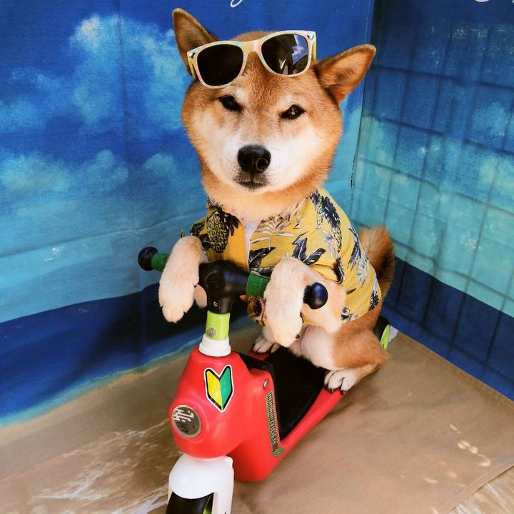 897ec771 67da 40f4 b8a1 990fd24e39af 1626486528457