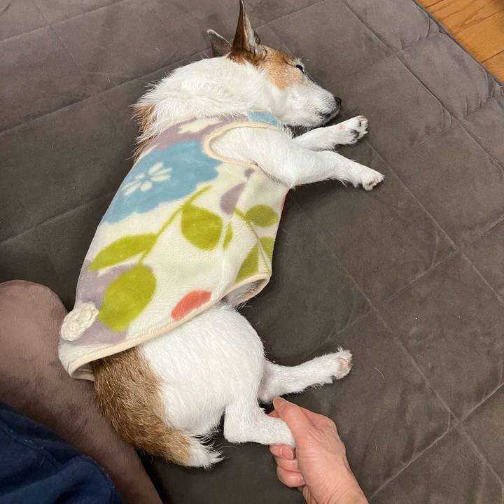 897f11b6 d6c8 40f9 aed0 cc7e01addc76 1706139727999