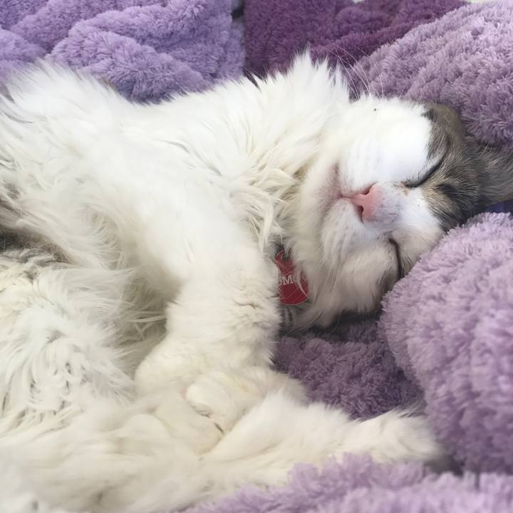 897f3048 437a 4973 a30b 301a1820fe16 1521471625668