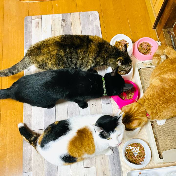 897f5c73 3bd6 426b 8d98 8064c0607a99 1704015193870