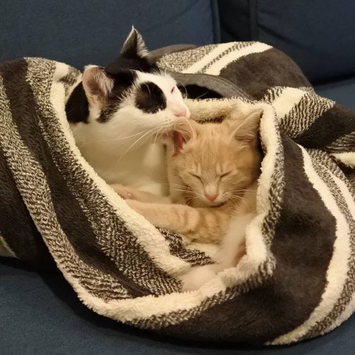 897f5c79 46e0 4d4e aae0 1f88de33516c 1544675708328