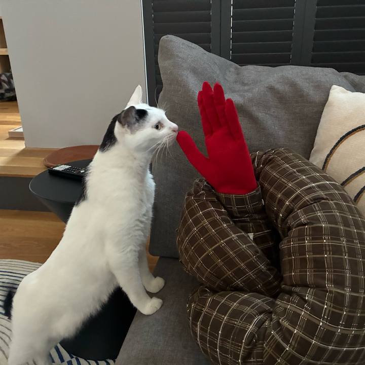 897f63be 060e 4e29 b56c 5b99ca67334f 1766874840590