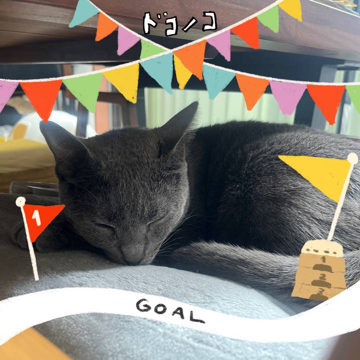 897f99c2 5125 4516 b6d5 a0e9d37a2a5a 1729563205218