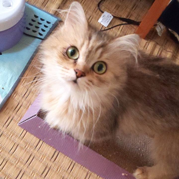 897fa2b8 5422 4acc 8bac 6fa6411a36ff 1627188153039