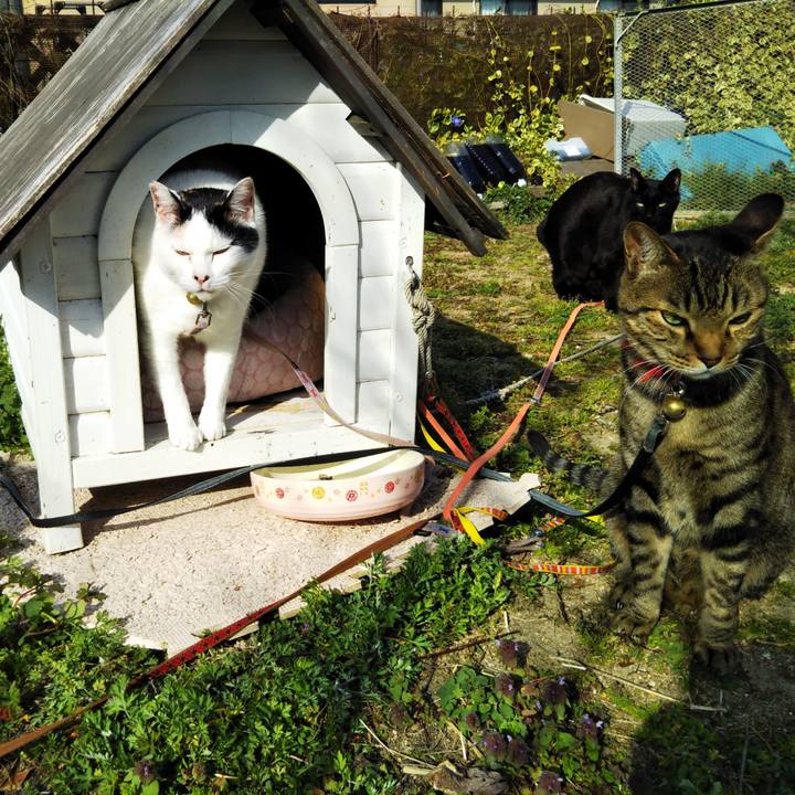 89801ba8 c605 4e8a b52a 3032586c21c8 1584773360864