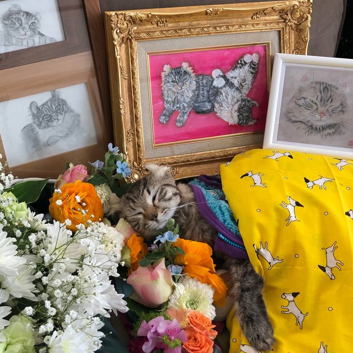 89806dc8 02fe 421b 9f38 213cd748cf96 1547698286277