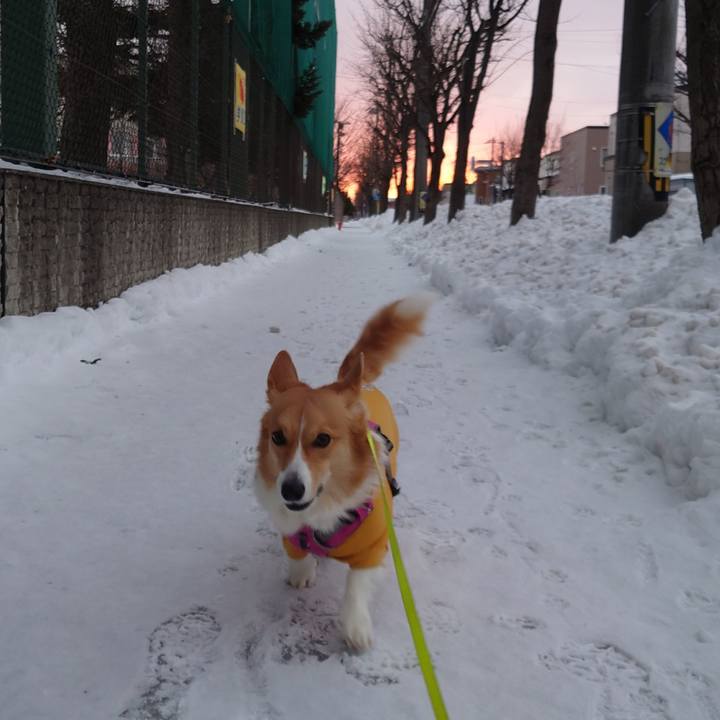 89807091 ce16 4884 9dc5 202b8f622cee 1766014363115