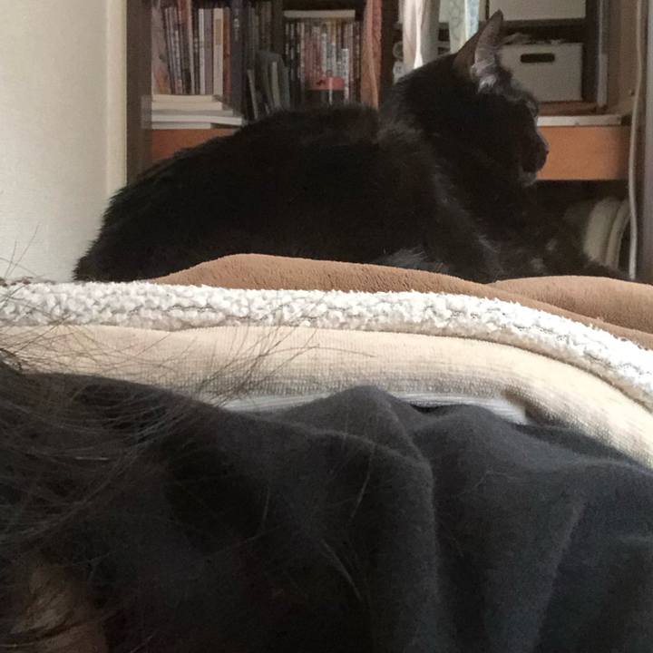 8980f8dd d52d 4518 a3b3 f00aa1716ad6 1604703725775