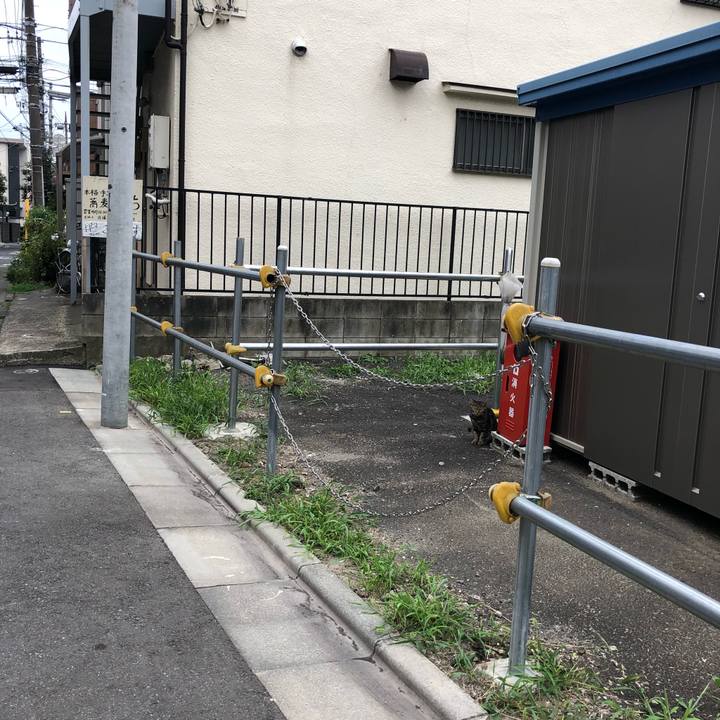 89811929 3b04 4e17 af81 3b49ee47c417 1534778674630